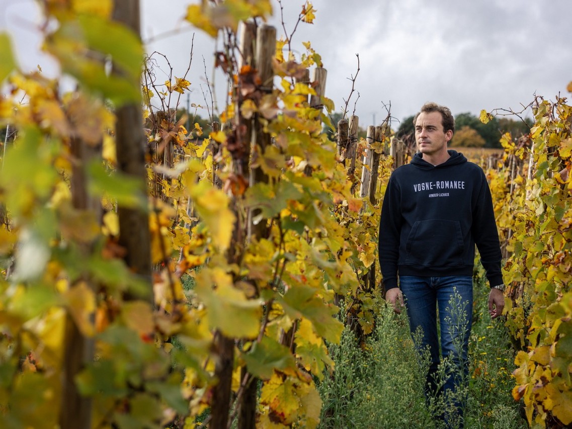 Charles Lachaux in the Arnoux-Lachaux vines at Vosne-Romanée.