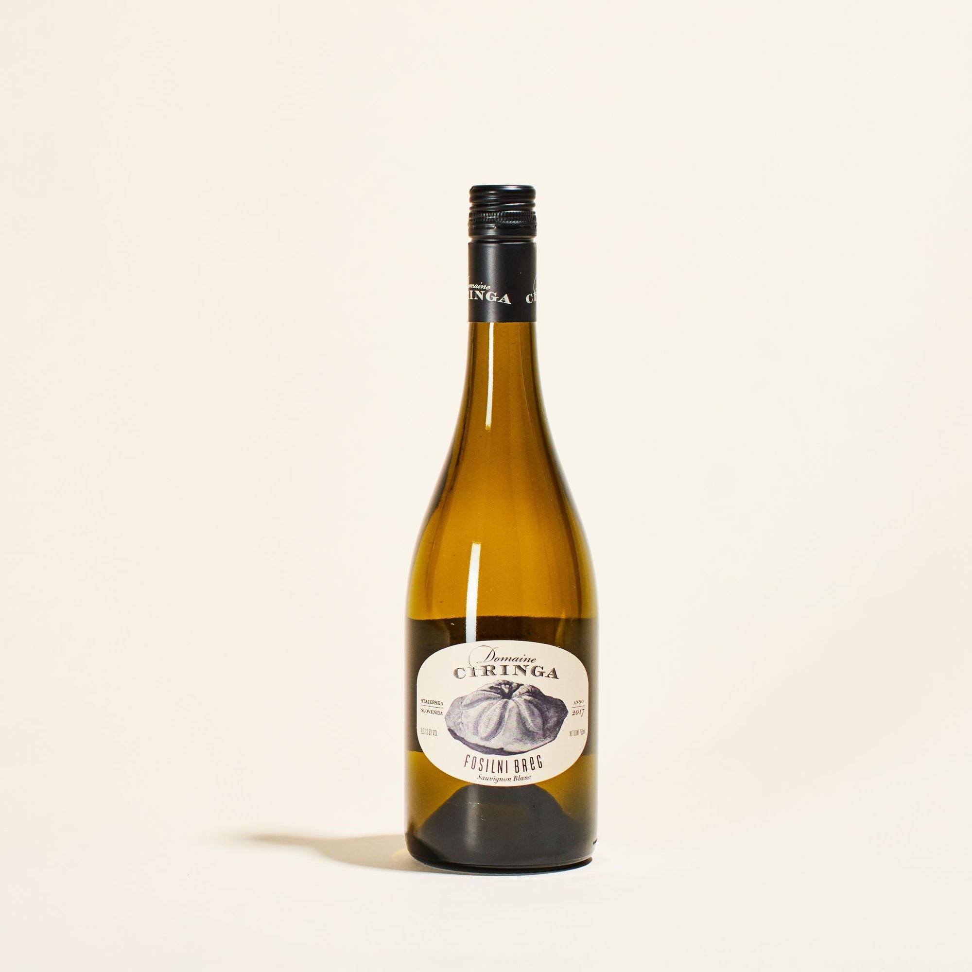 Domaine Ciringa Fosilni Breg Sauvignon Blanc bottle with black capsule and cream label featuring an engraved pumpkin illustration
