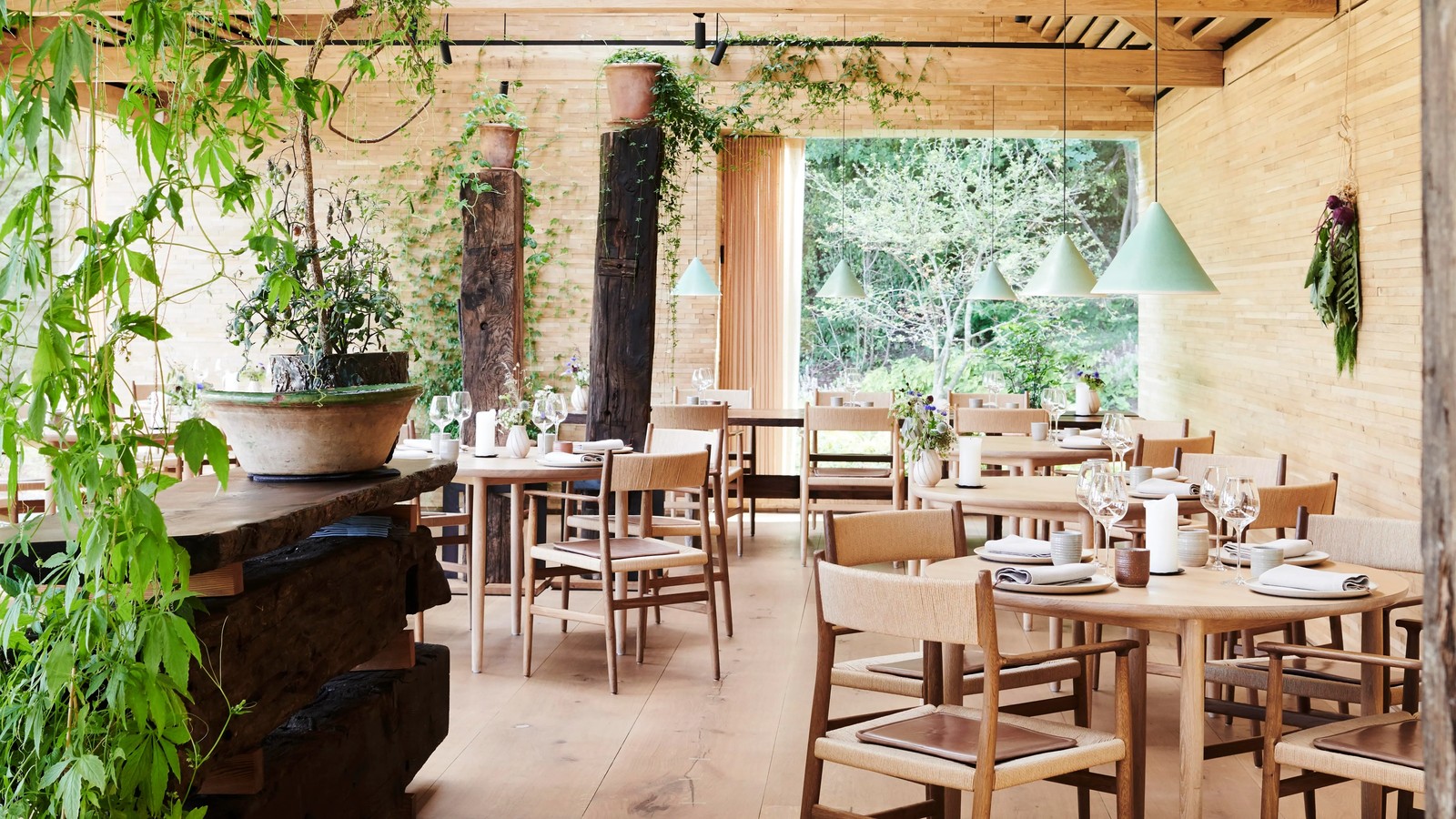 A nature-inspired restaurant dining room with light wood tables and chairs, hanging green plants, and large windows overlooking trees.