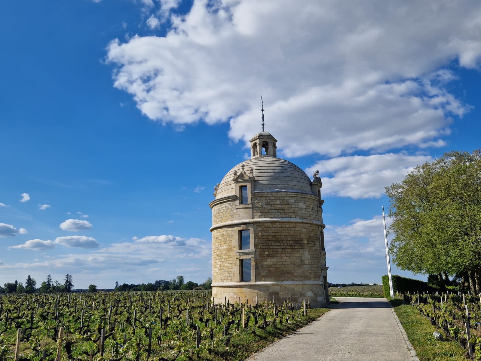 a vineyard with a road and a tower