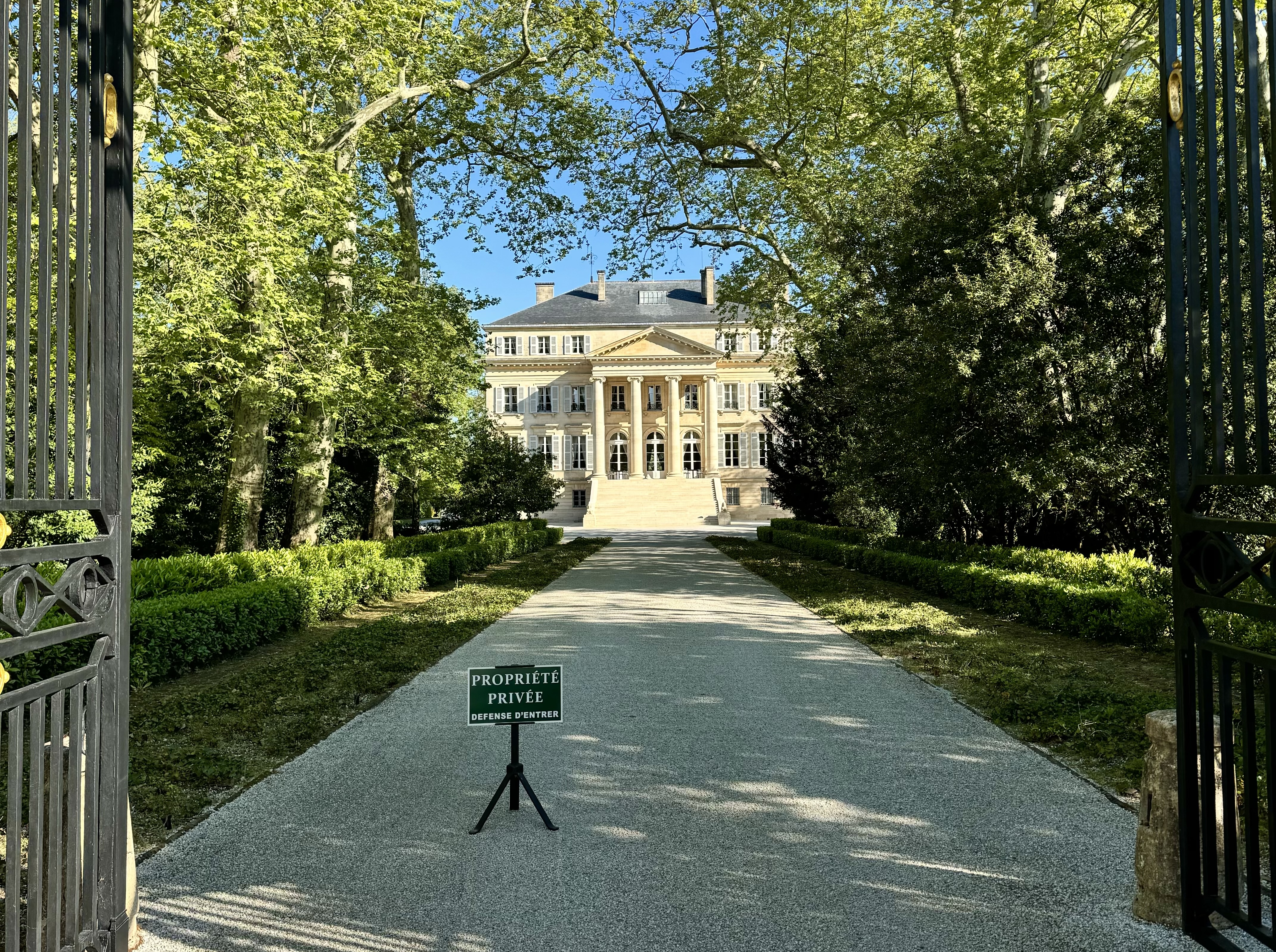 a long road leading to a wine estate