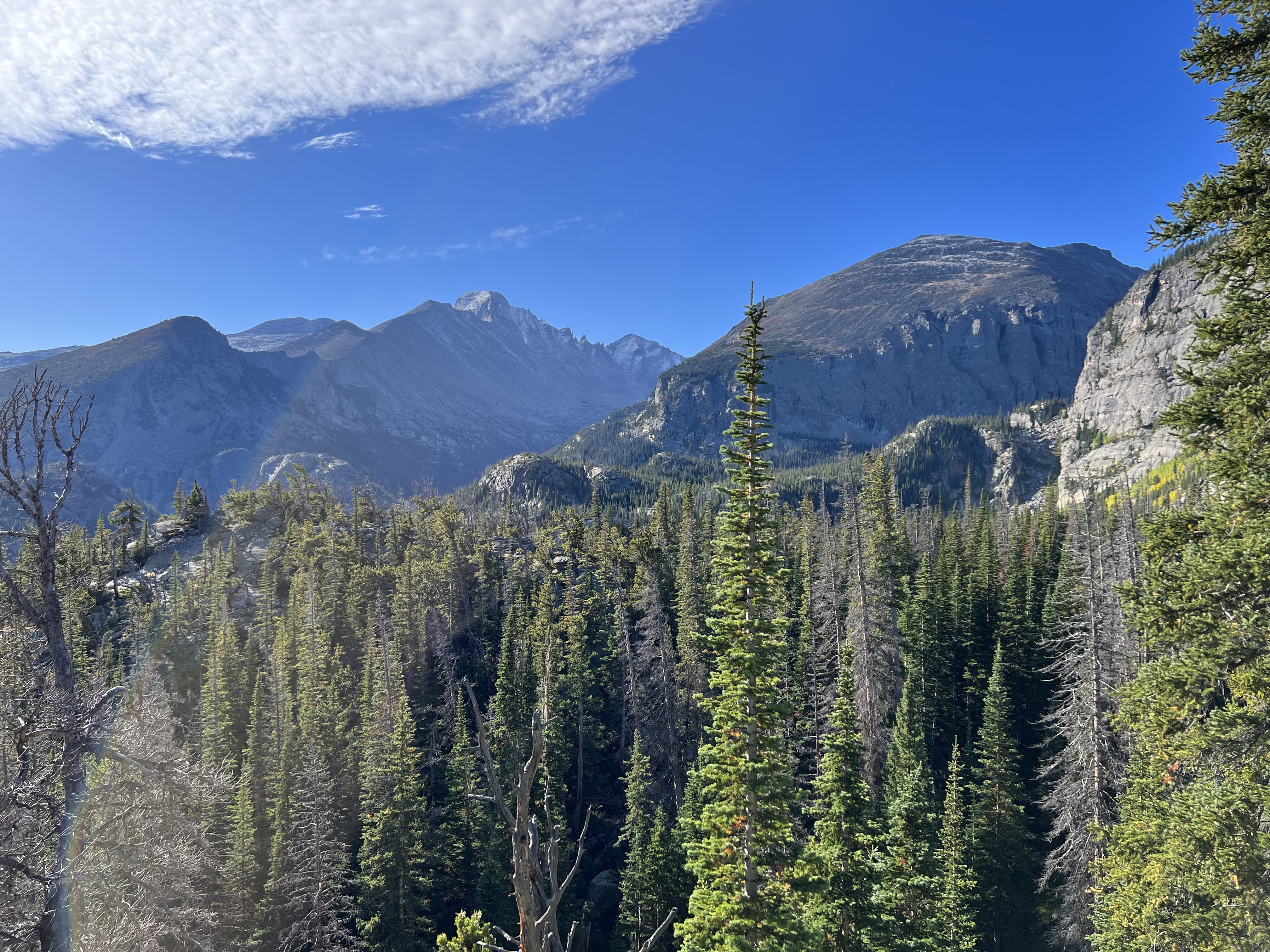 a breathtaking overlook of a mountain range and forest