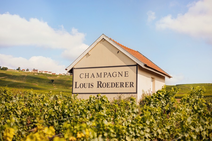 Small building with "Champagne Louis Roederer" sign in lush vineyard, under a blue sky with clouds. Rural, peaceful mood.
