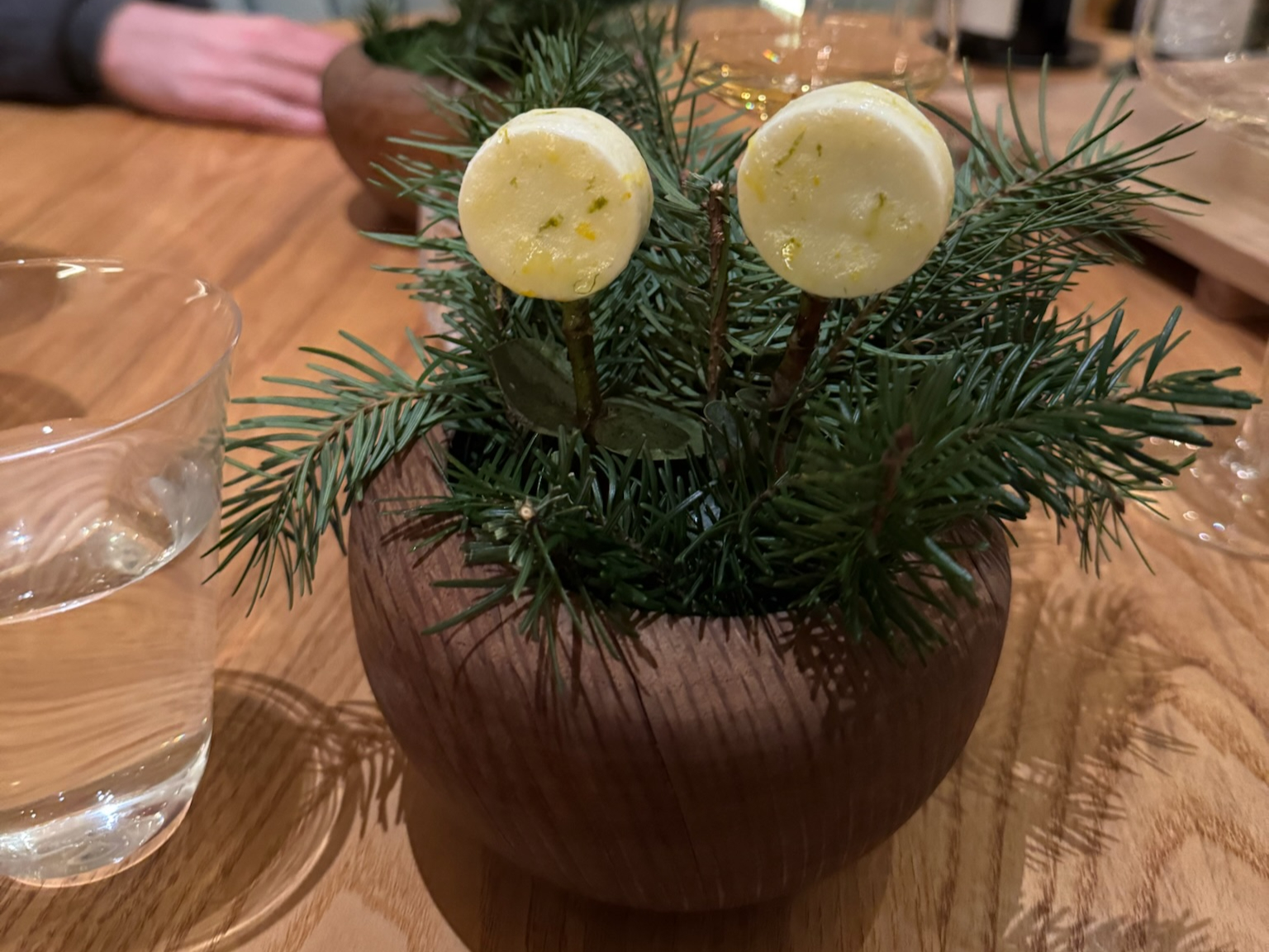 Sake Lees Popsicle among pine branches
