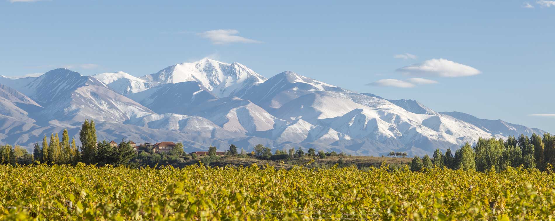 The Estate and Vineyards at Catena Zapata