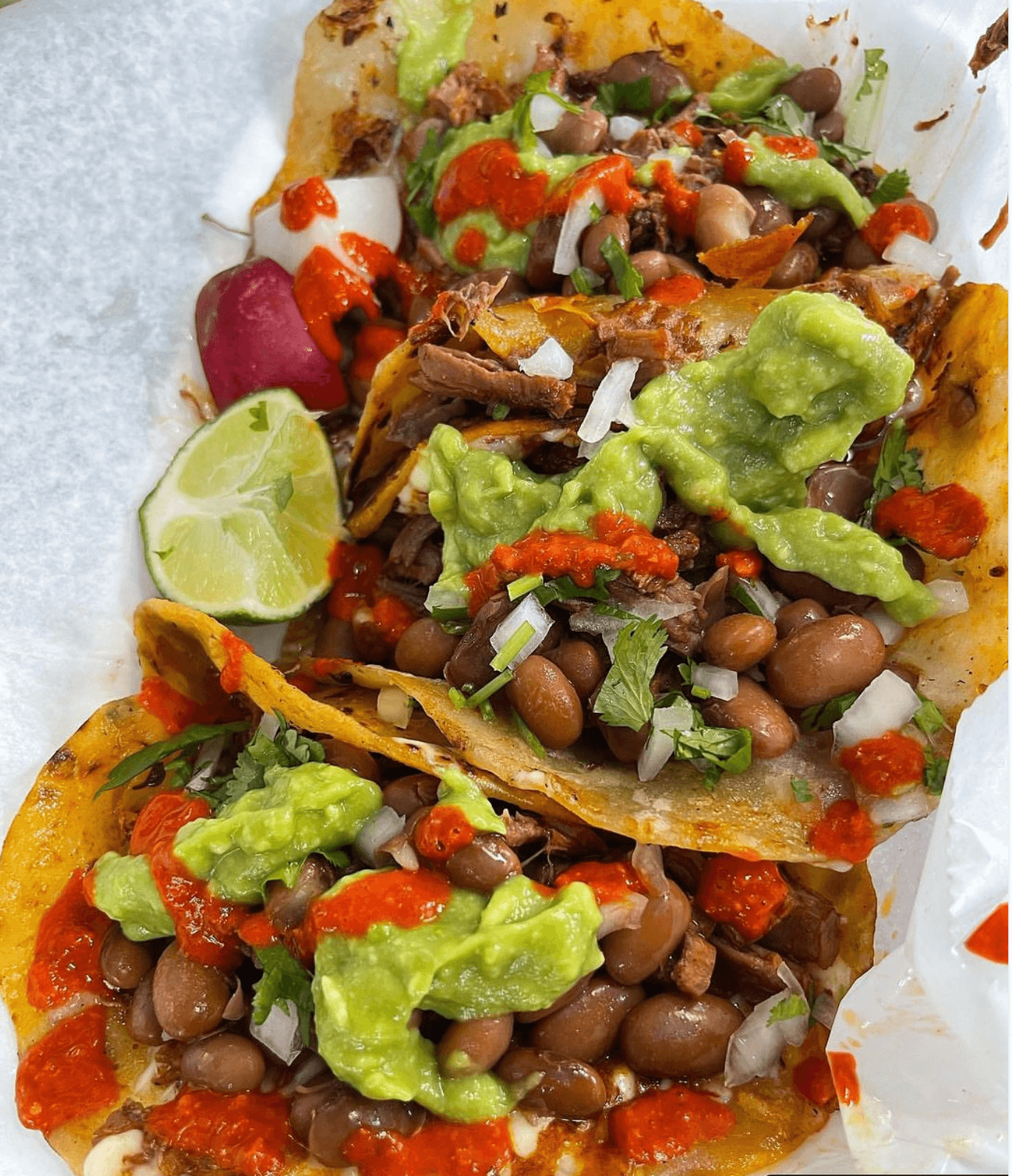 El Ruso's famous carne asada tacos on a handmade tortilla and topped with beans, cilantro, onion, salsa and guacamole.