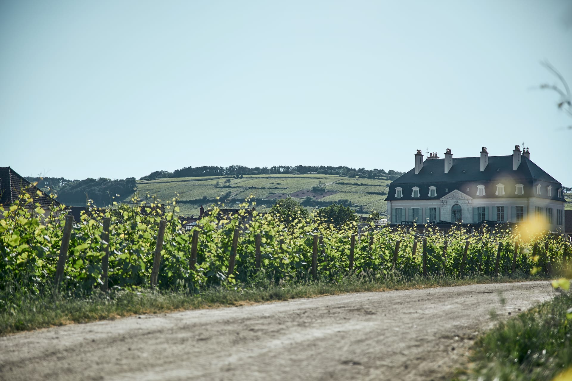 The Estate at Chateau de Pommard
