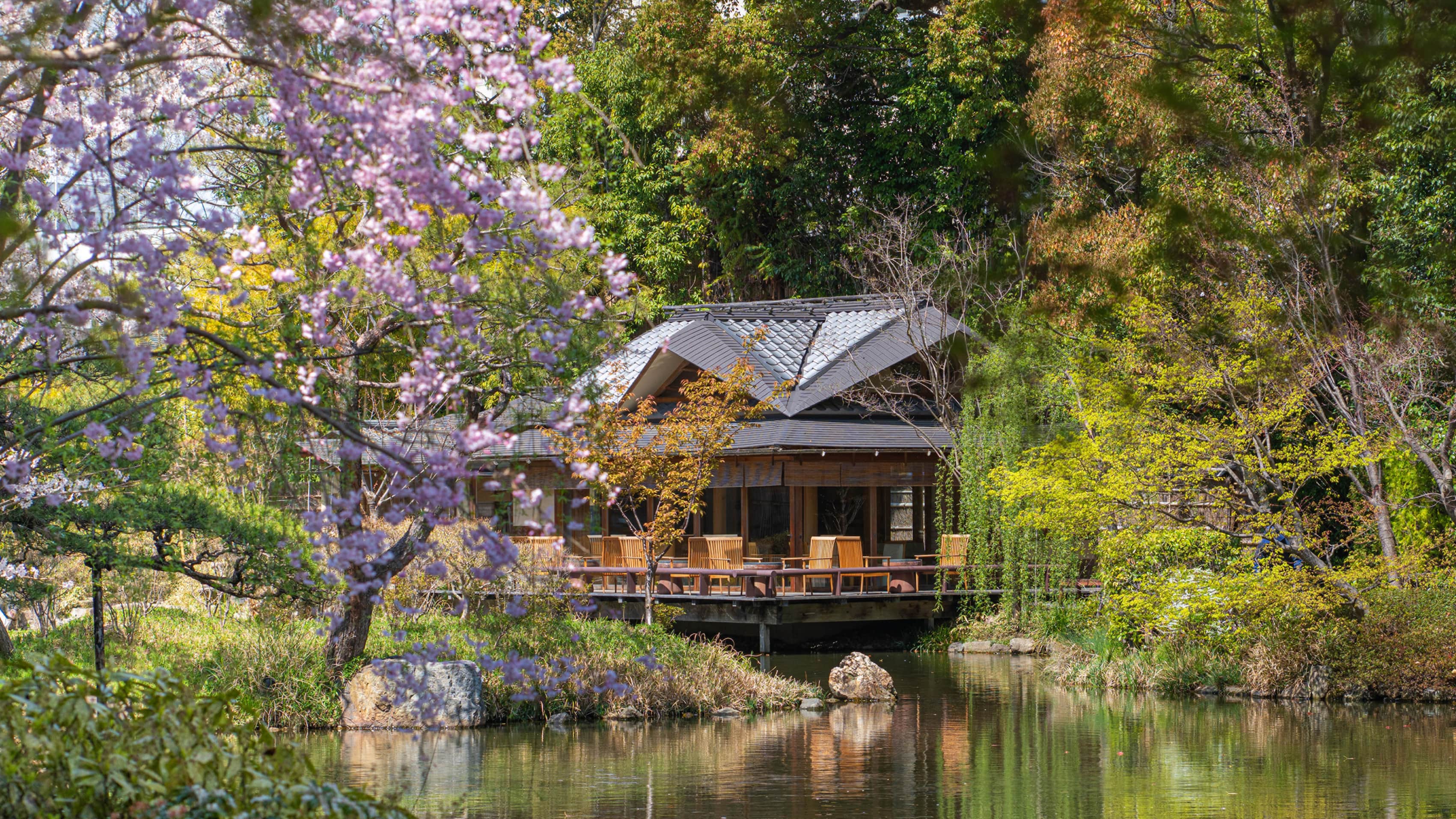 A rustic cabin by a pond, surrounded by vibrant cherry blossoms and lush greenery, creates a serene, picturesque scene.