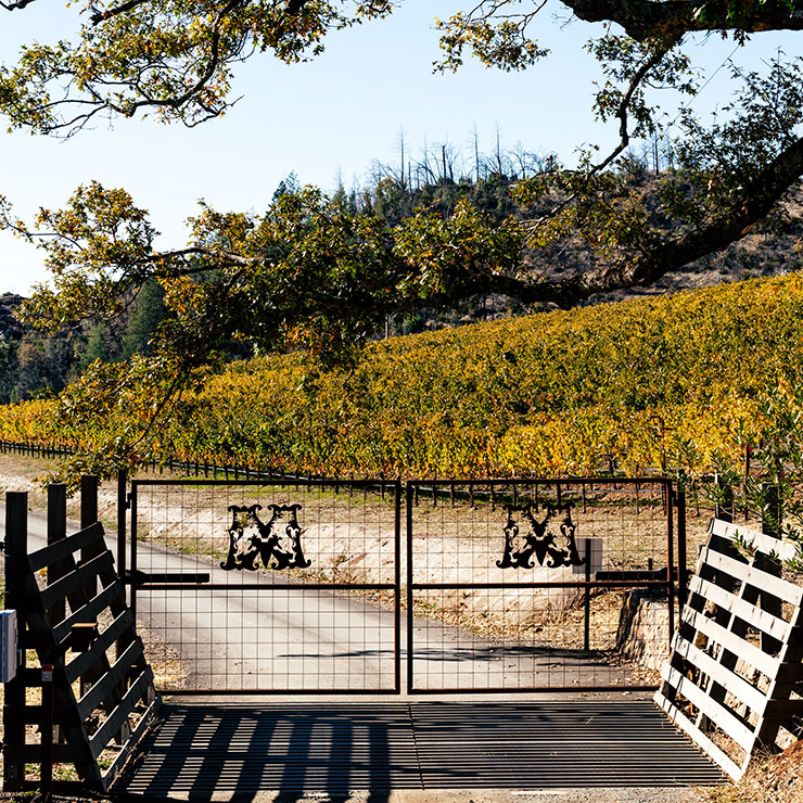 Ornate metal gate with emblem, set in a sunlit vineyard with autumn leaves and an overhanging tree branch. Clear blue sky above.