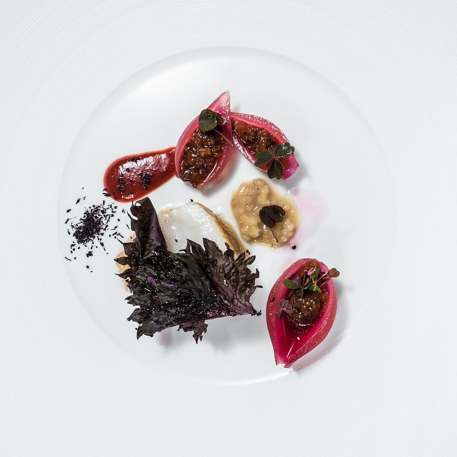 Elegant dish on white plate with artfully arranged garnishes, including purple leaves, pink onions, and sauces, on a textured surface.