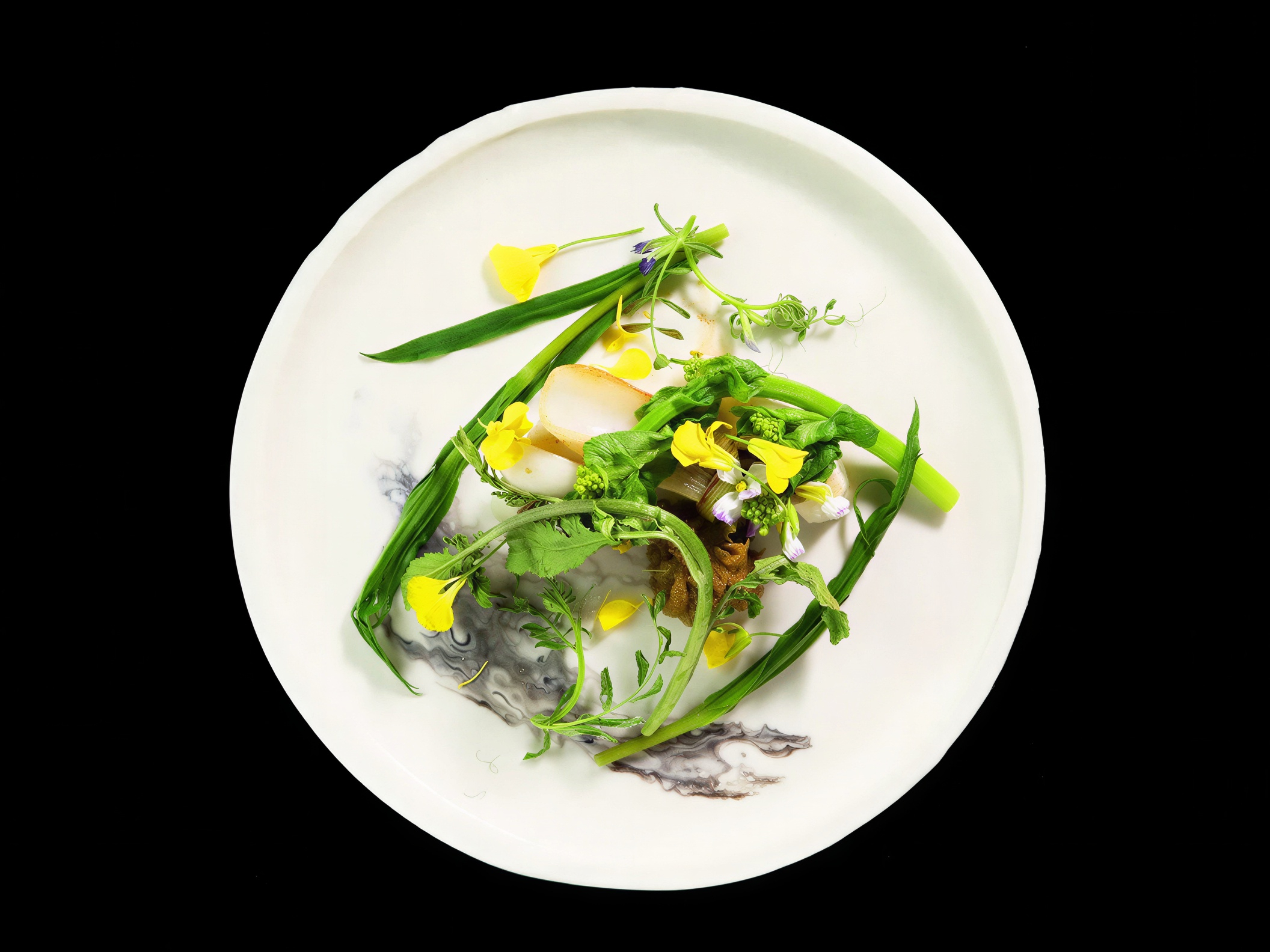 Elegant dish with green vegetables and yellow flowers on a white plate, set against a black background, creating a fresh, artistic mood.