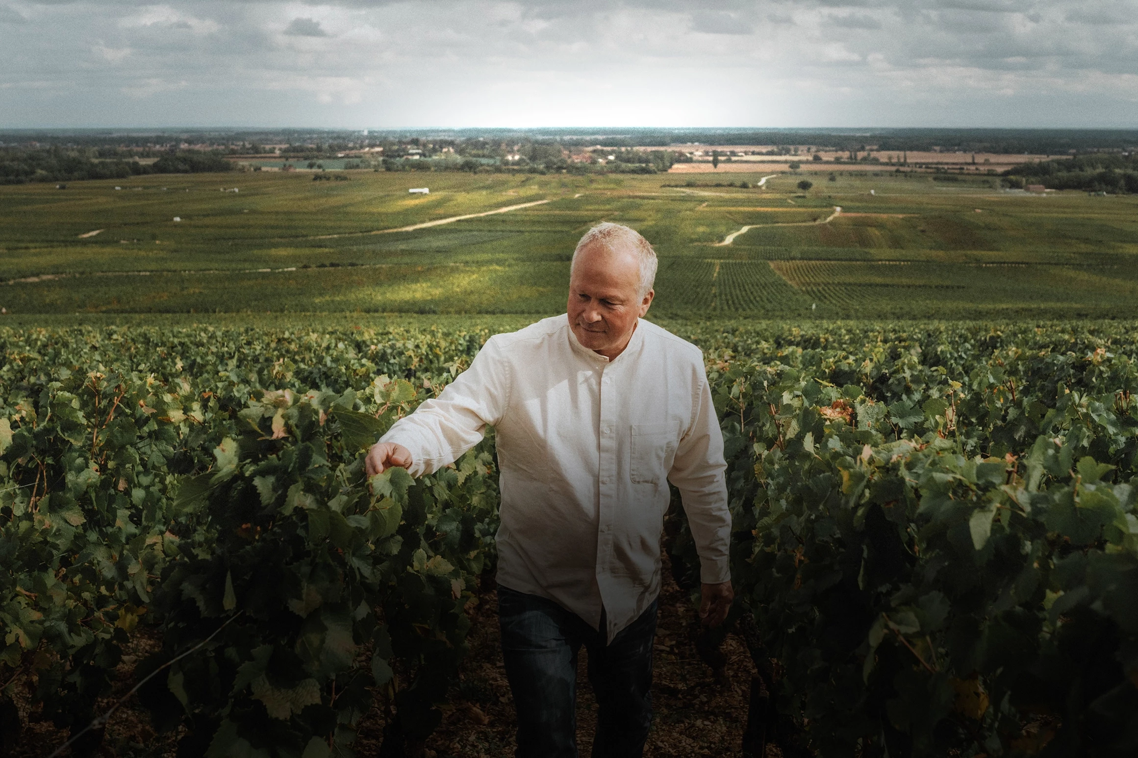 Man in a white shirt walking through a lush green vineyard, gently touching leaves. Vast fields stretch out under a cloudy sky.