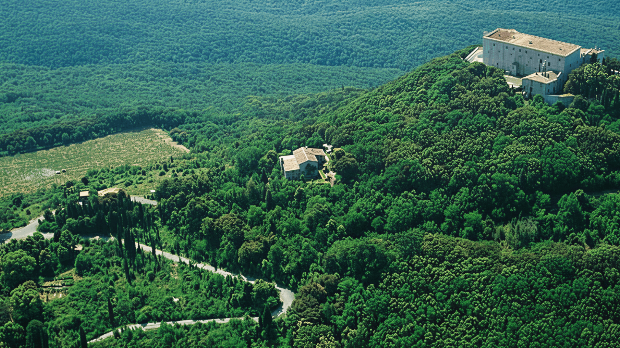 Aerial view of Tenuta San Guido Estate with lush green forested hill with scattered buildings. A large structure sits atop, surrounded by trees under a clear sky.