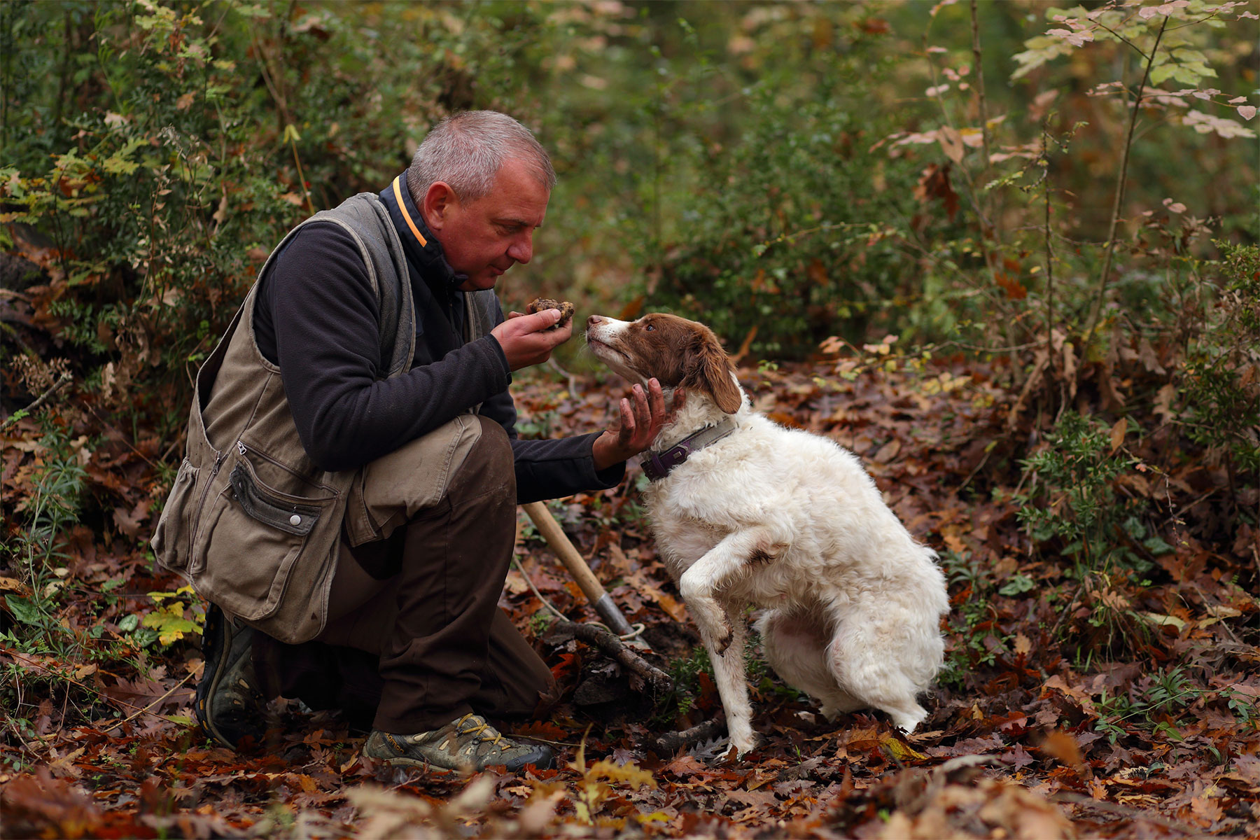 Truffle Hunter and Guide Massimo Cucchiara and his dog