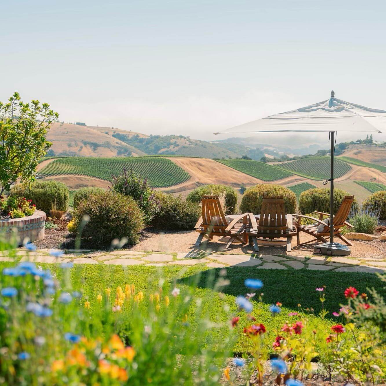 DAOU Vineyard's tasting room atop the mountain. Wooden lounge chairs look out at the panoramic views.