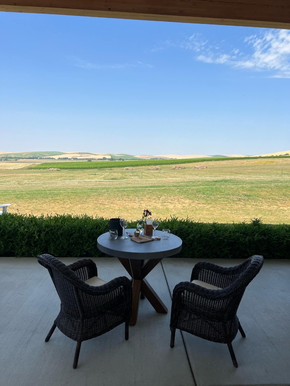 The view from Reynvaan Family Vineyards' Tasting Room