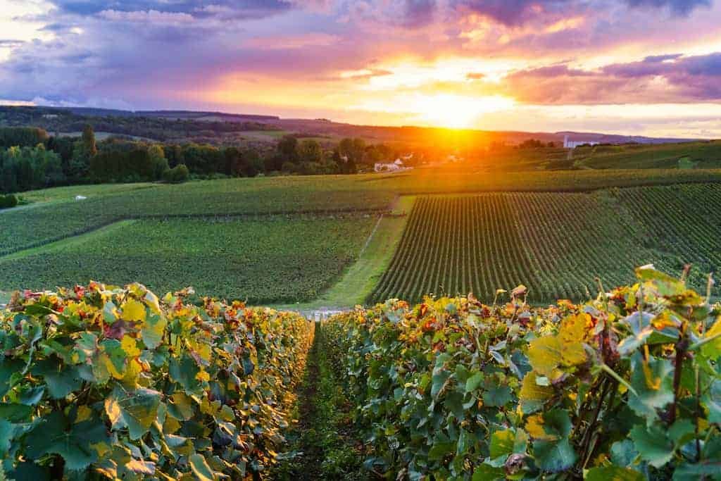 Champagne region travel, French sparkling wine tours, Champagne food pairings, luxury Champagne tasting experiences, historic Champagne houses visit