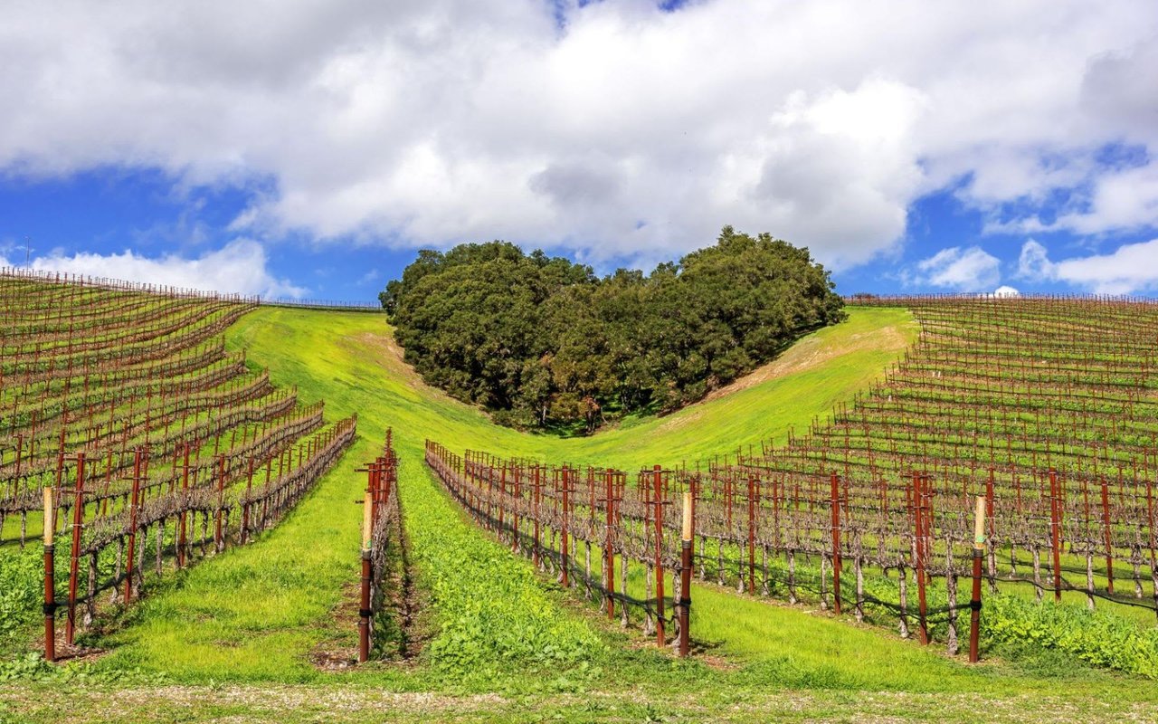 Paso Robles luxury travel, California wine tours, farm-to-table dining Paso Robles, Paso Robles wine tasting, artisan spirits Paso Robles