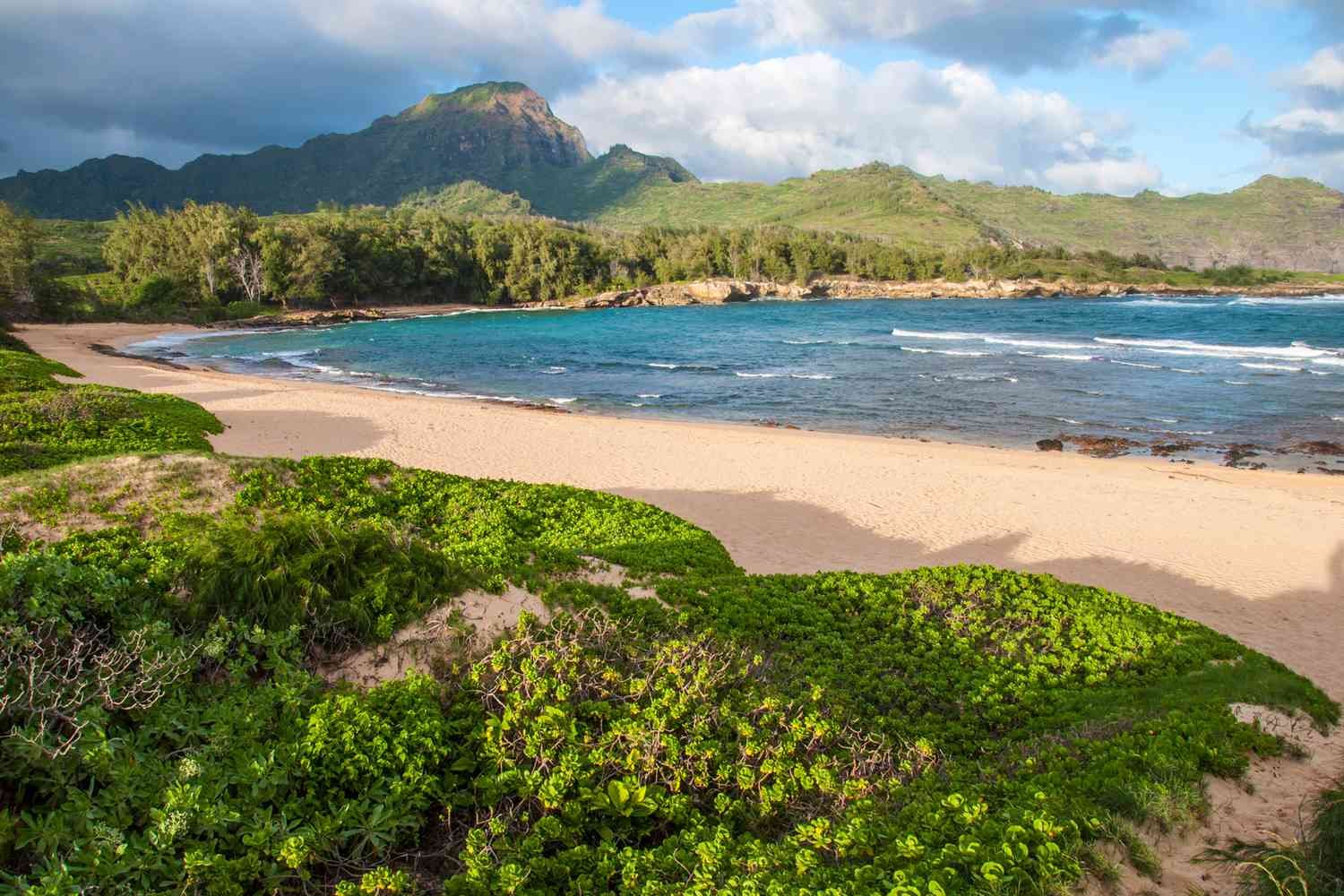 Kauai luxury travel, gourmet Hawaiian cuisine, tropical fruit wines, Kauai farm-to-table dining, Kōloa Rum distillery tours
