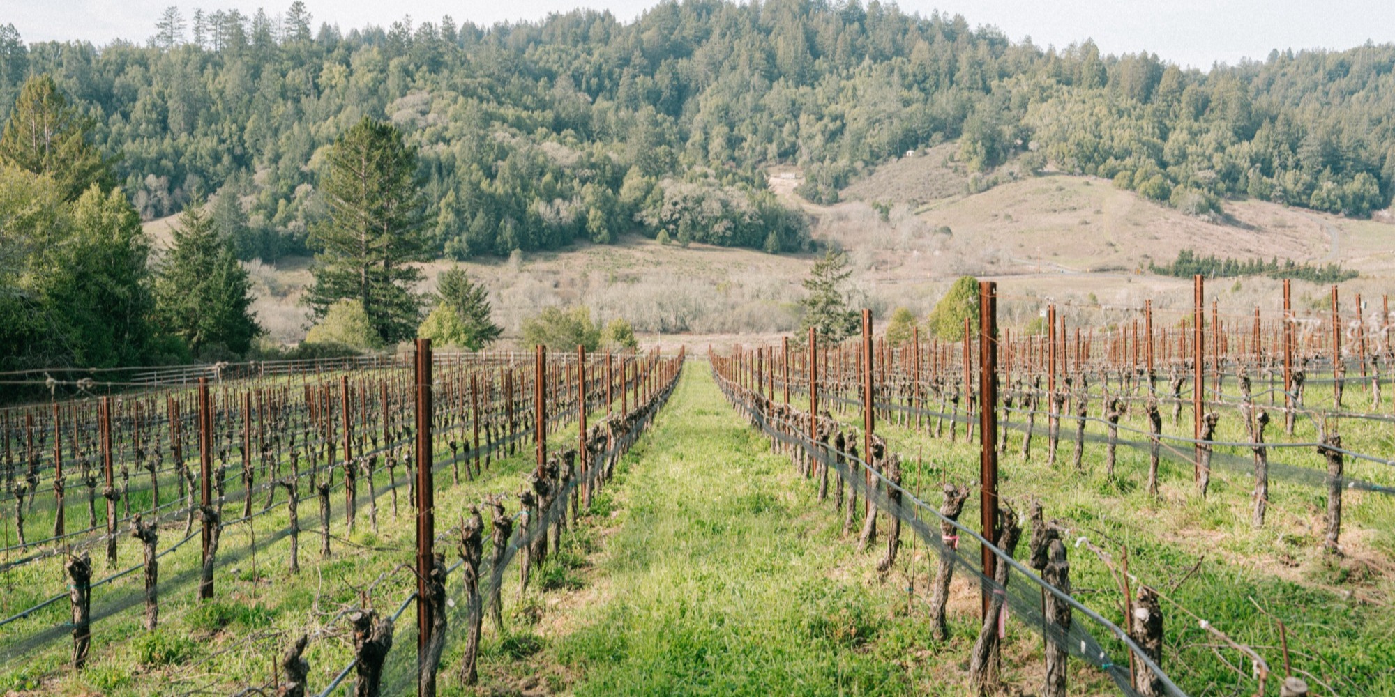 RAEN Winery