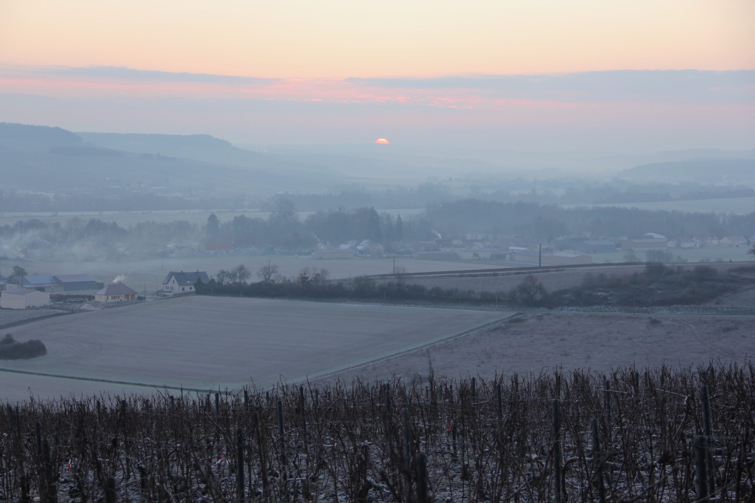 Champagne Piollot