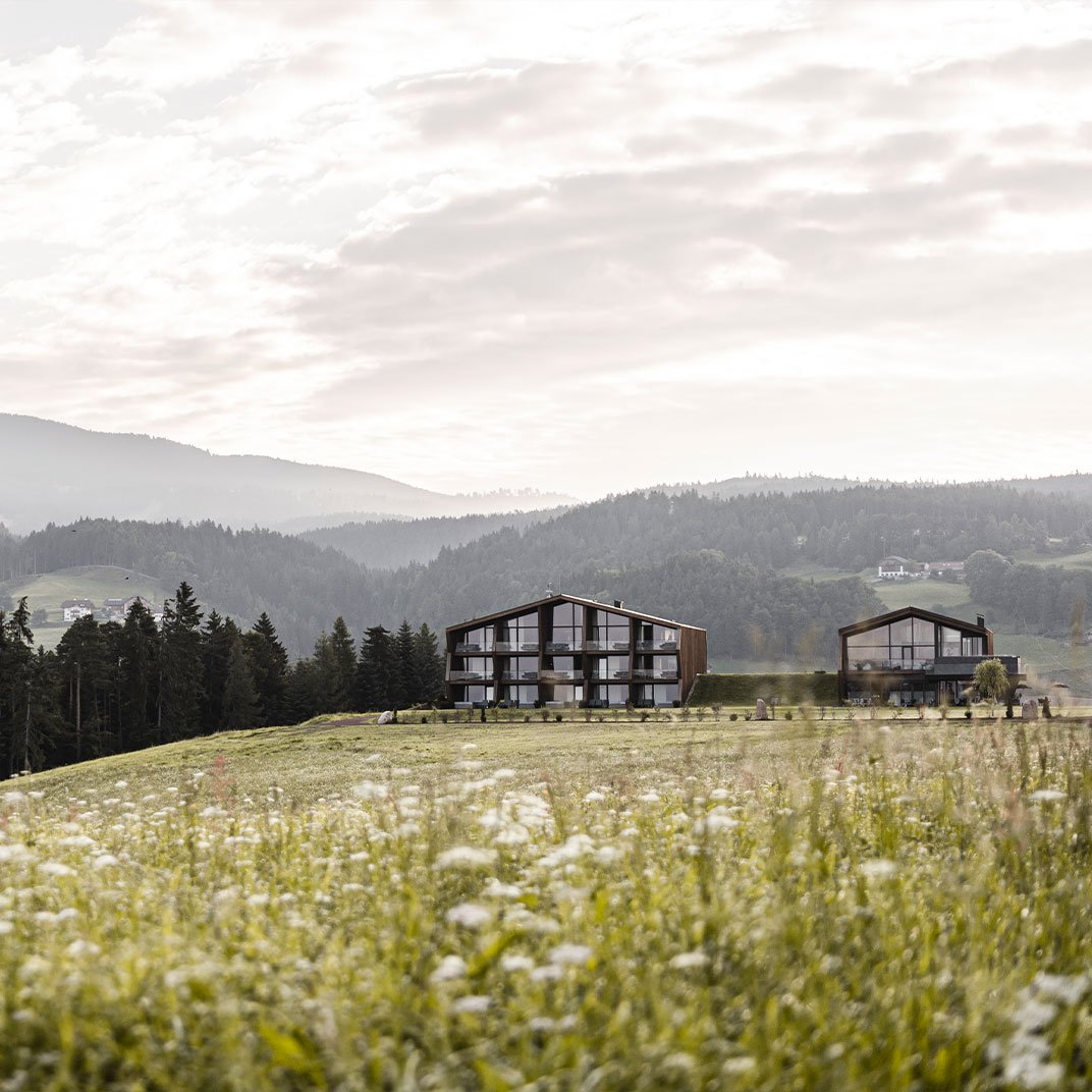 Ristorante Alpes & La FuGa | | The En Primeur Club