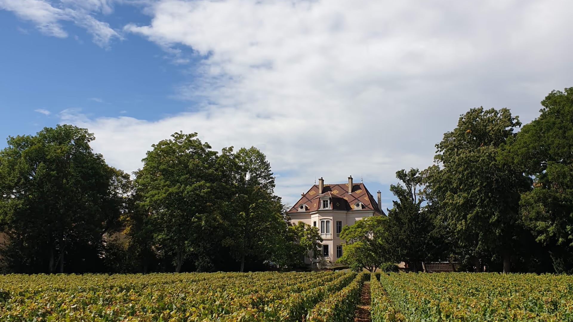 Domaine des Comtes Lafon