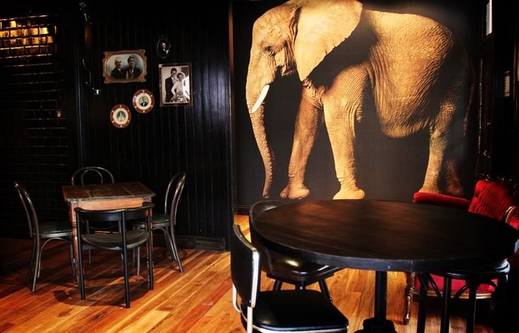 Elephant