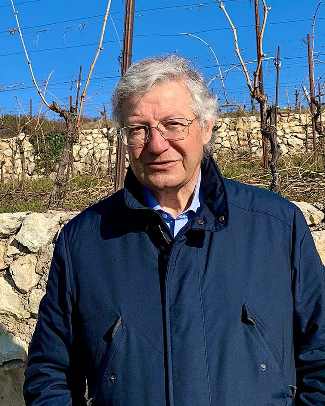 Portrait of Stefano Cesari