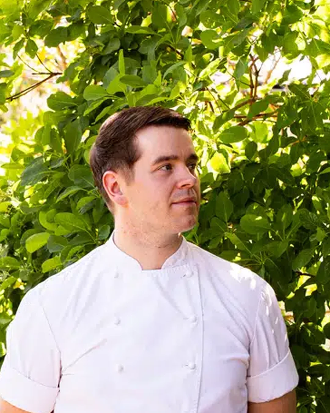 Portrait of Chris Hopkins