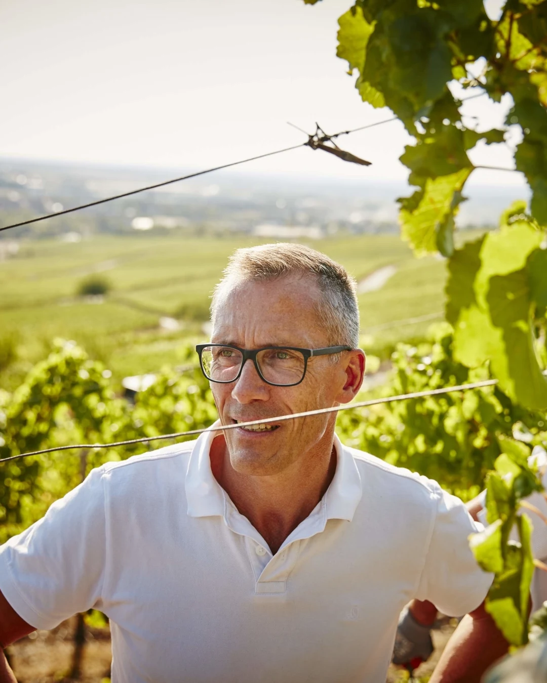 Portrait of Dr. Klaus-Peter Heigel