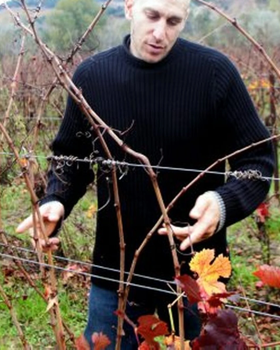 Portrait of Franck Schisano