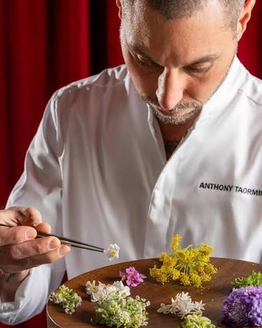 Portrait of Anthony Taormina