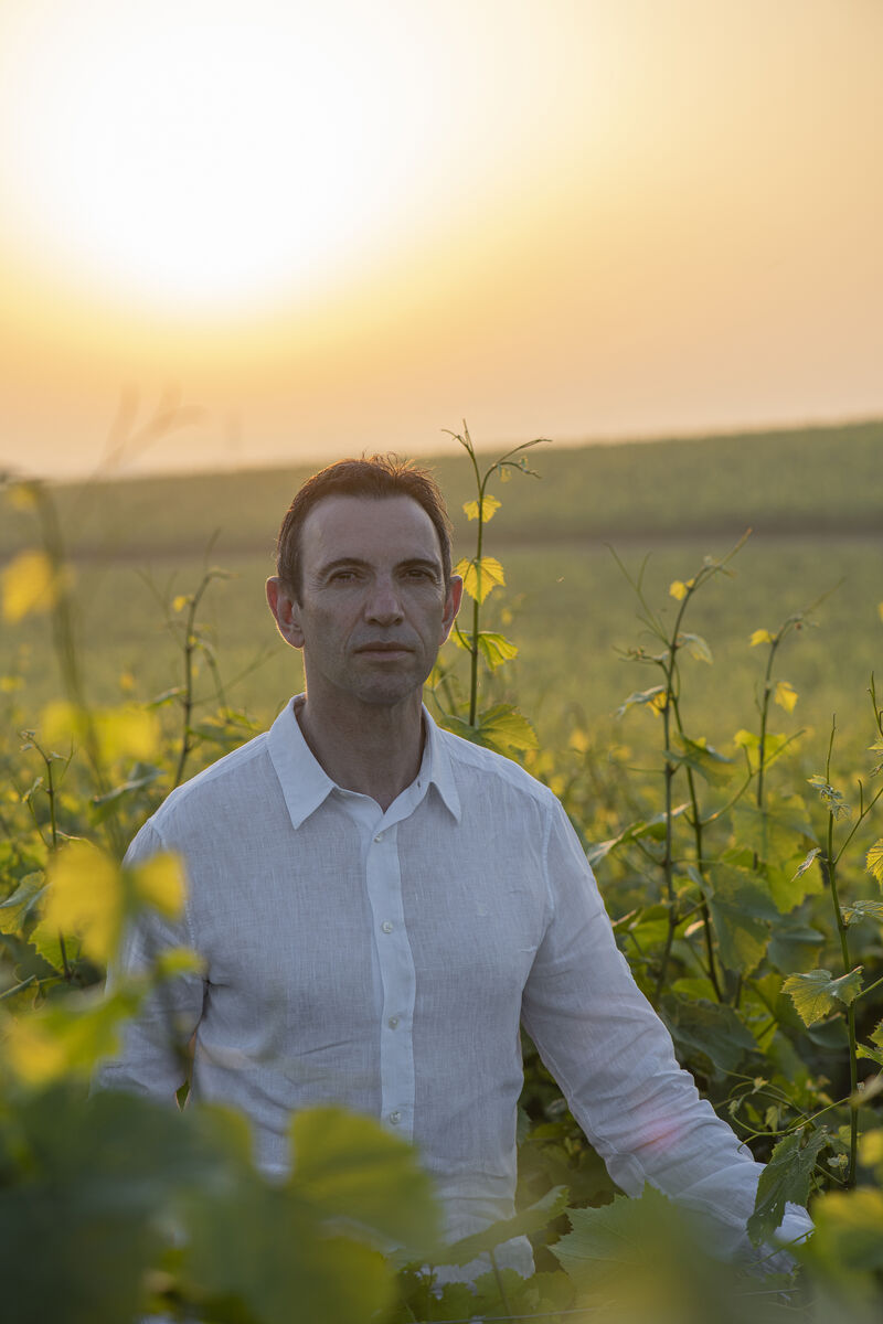 Frédéric Panaïotis