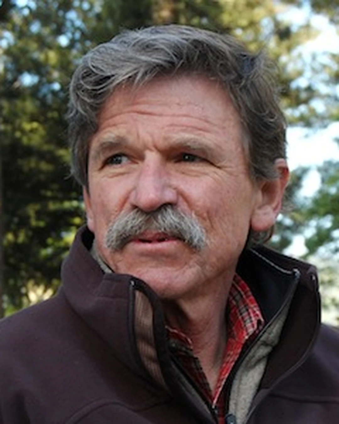 Portrait of Bob Swain