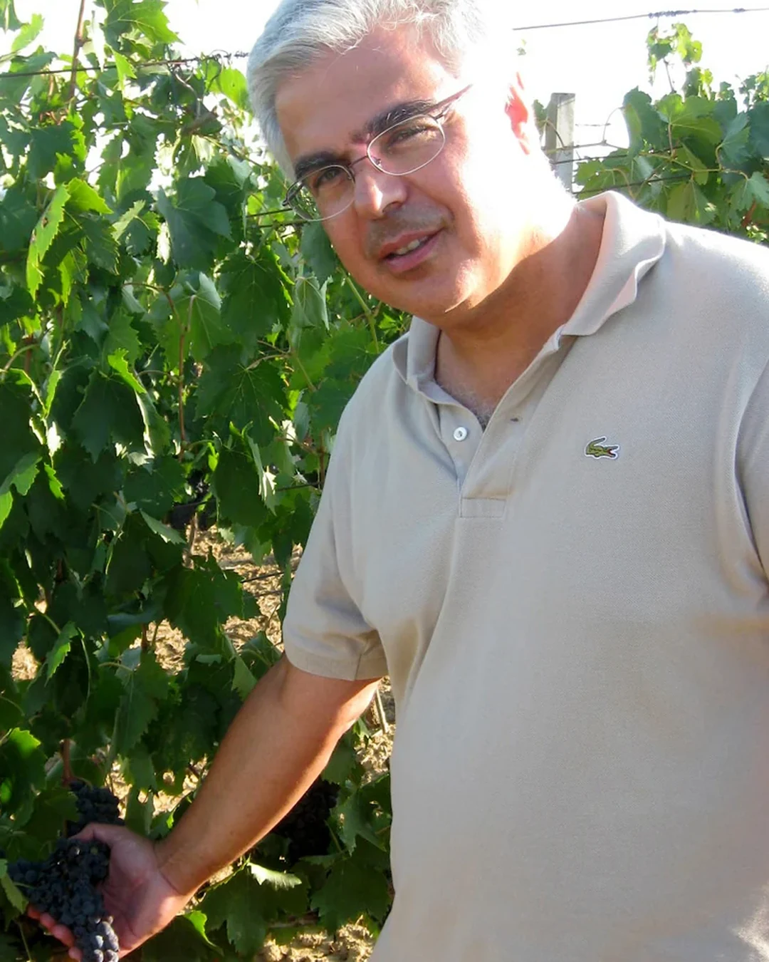 Portrait of Alessandro Nieri