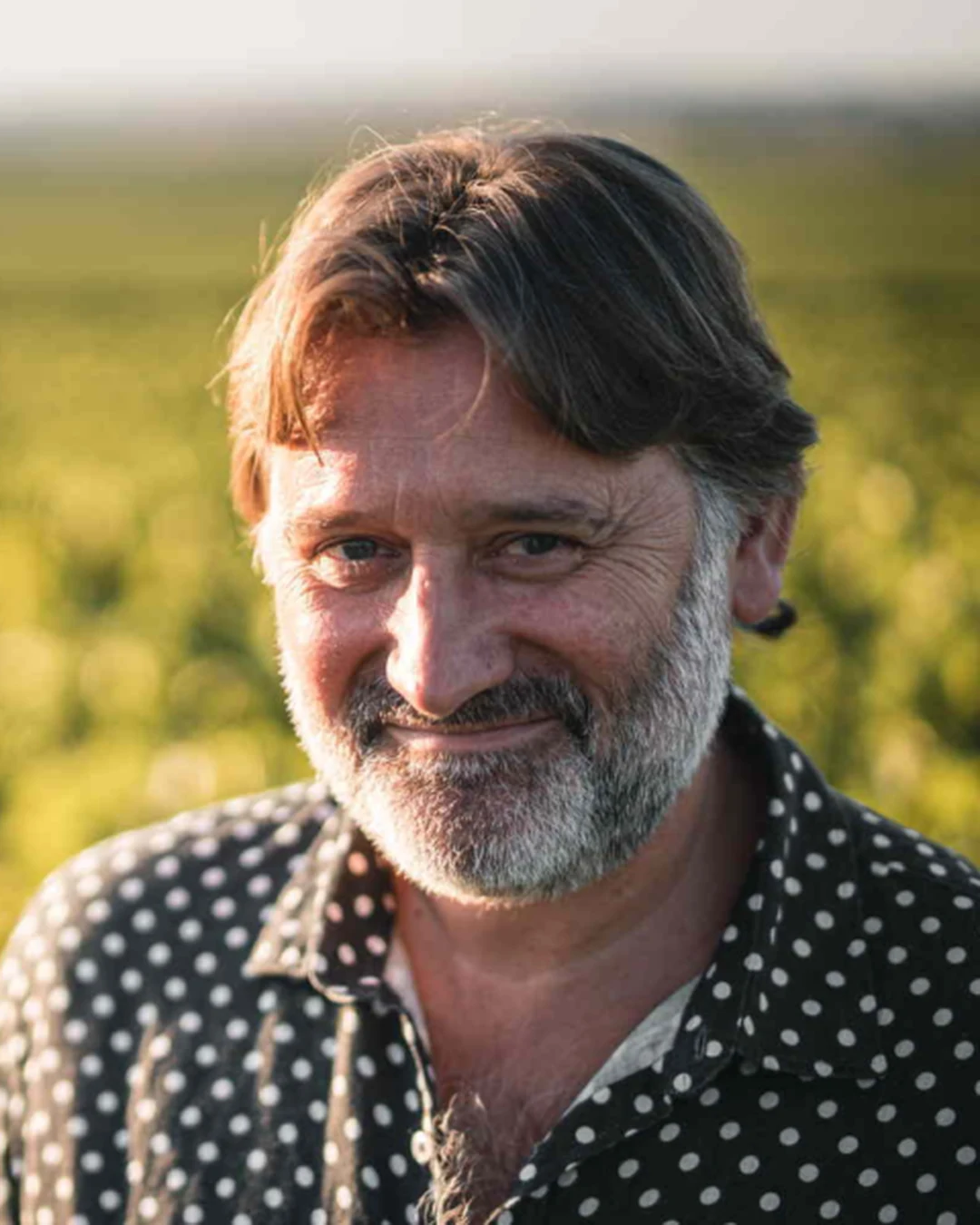 Portrait of David Pehu