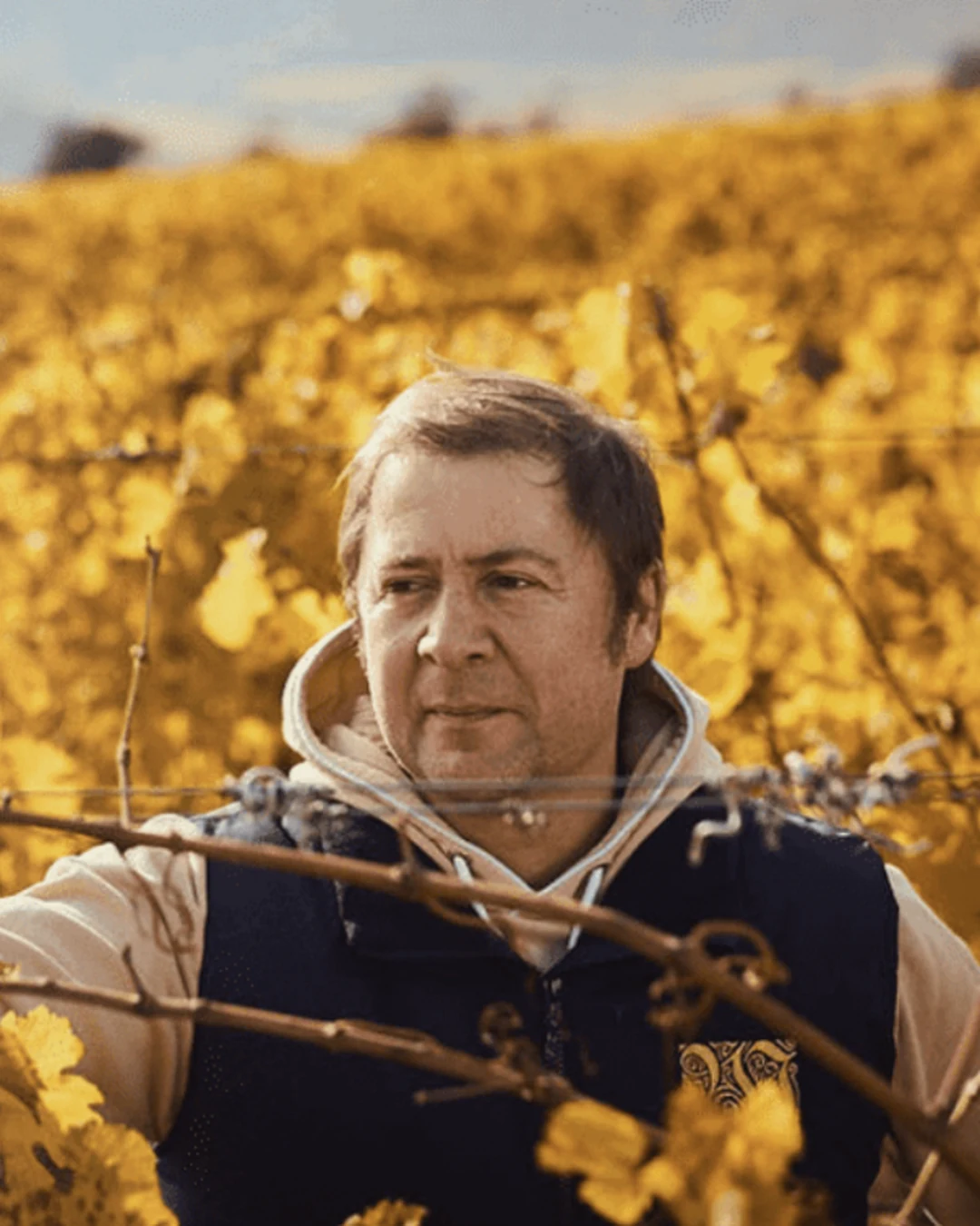 Portrait of Stephan Attmann