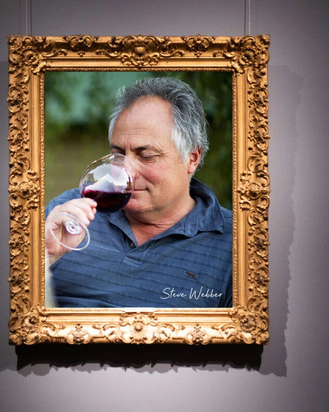 Portrait of Steve Webber