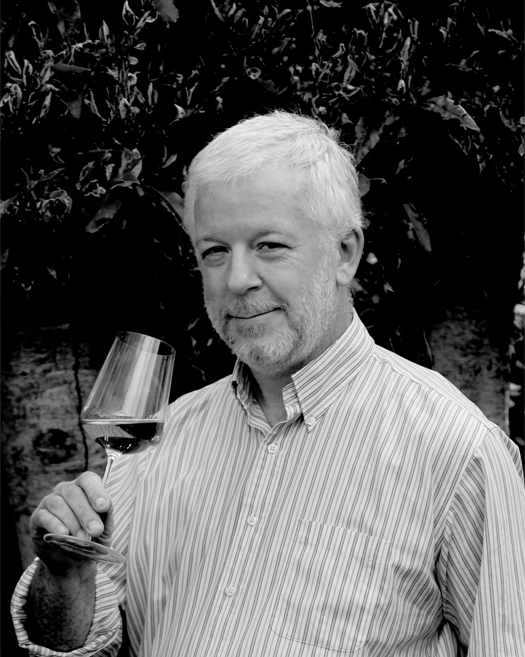 Portrait of Chris Kissack