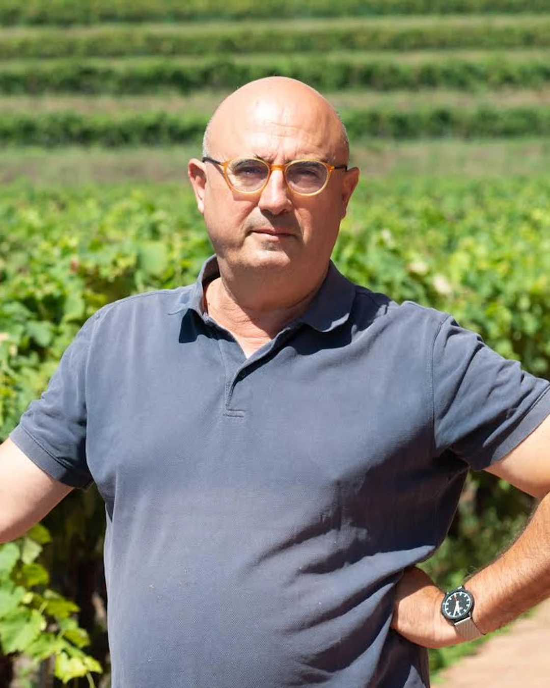 Portrait of Michele Scammacca del Murgo