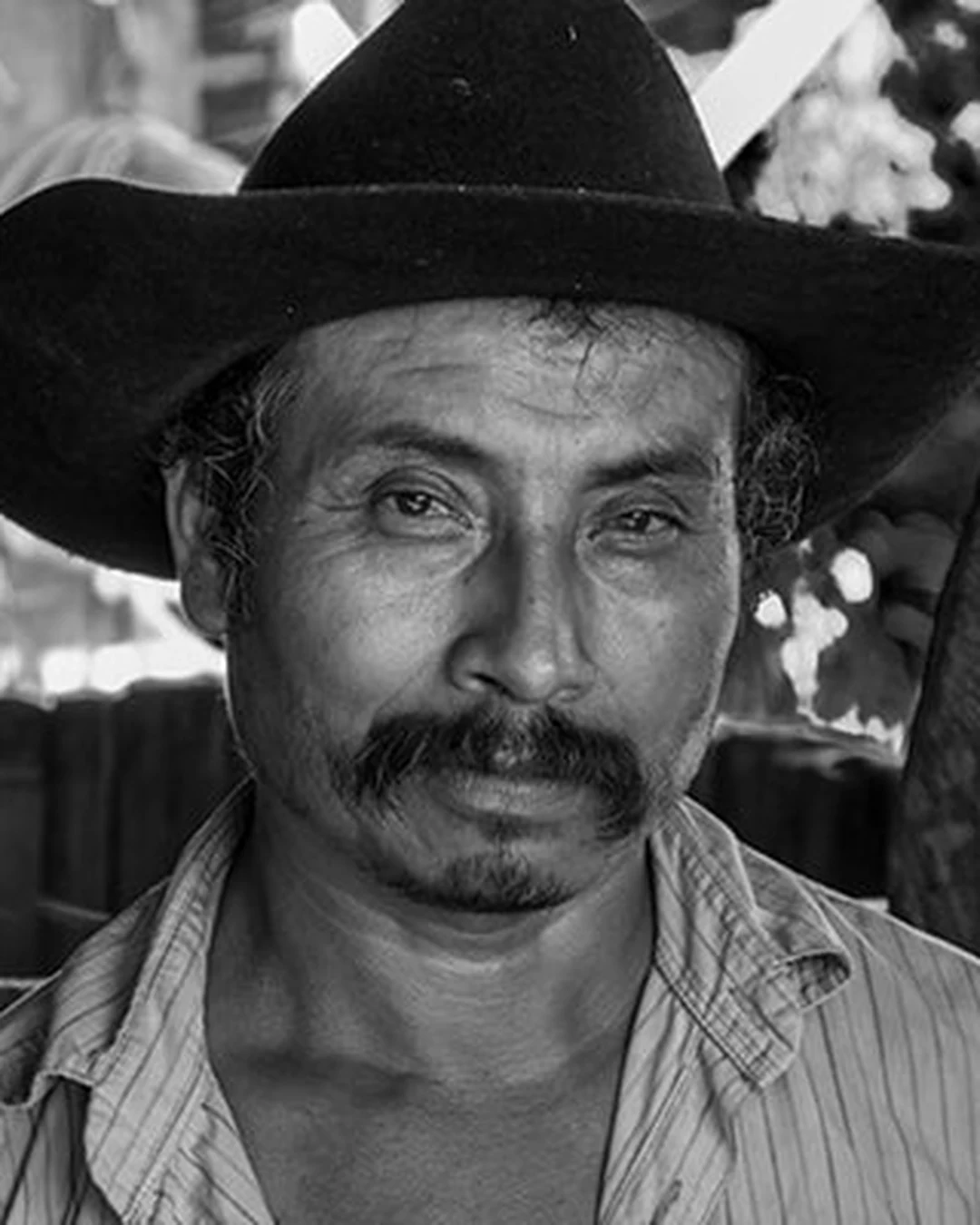 Portrait of Tío Rey