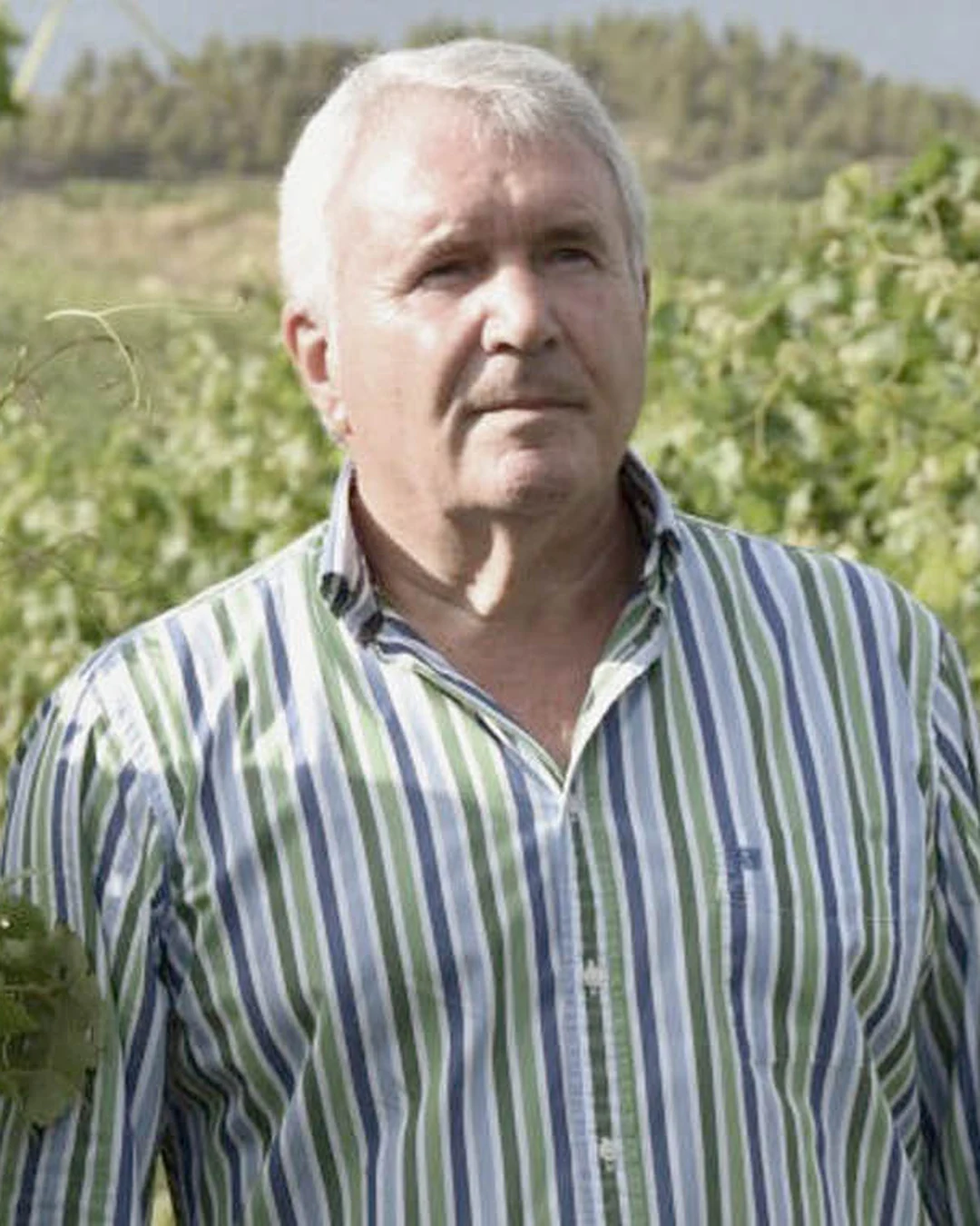 Portrait of Santiago Ijalba