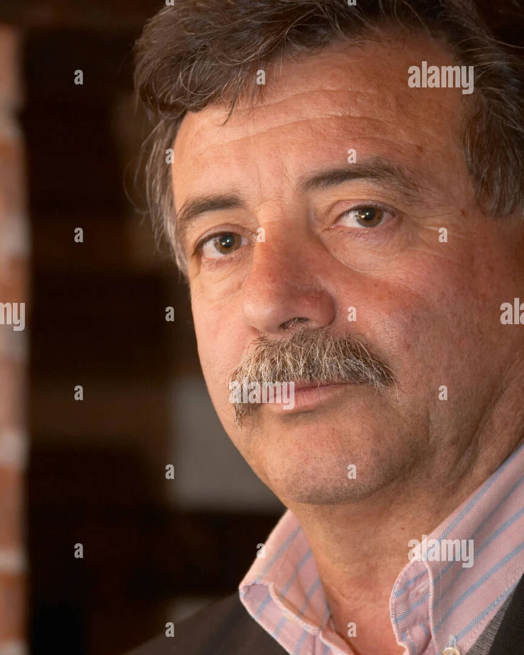 Portrait of Reinaldo de Lucca