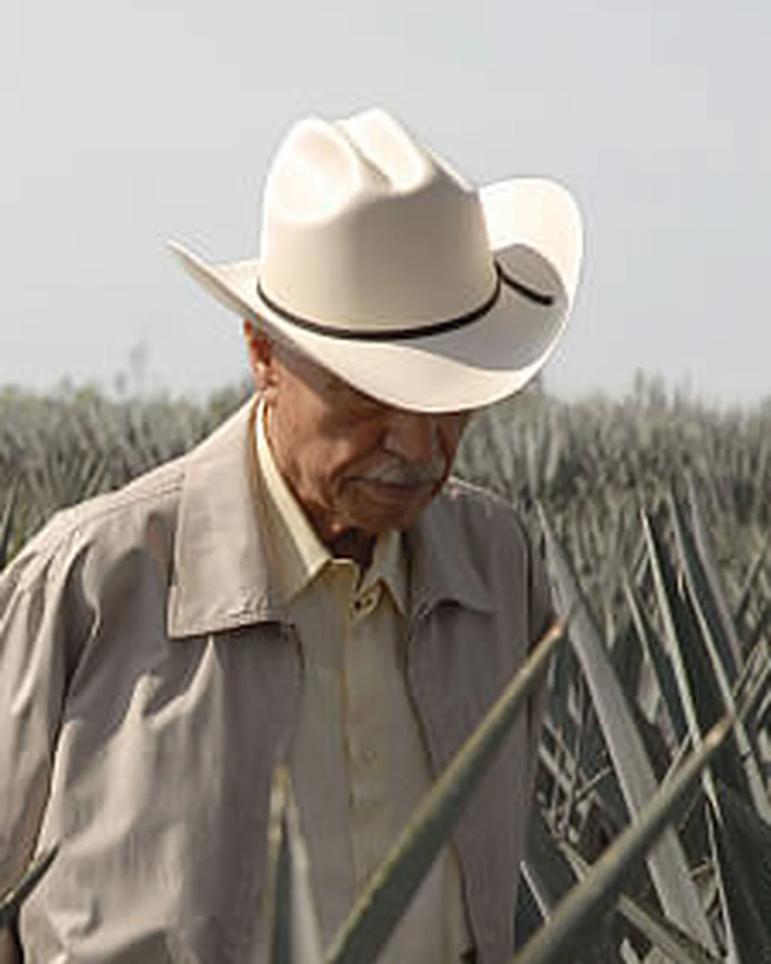 Portrait of Don Julio González