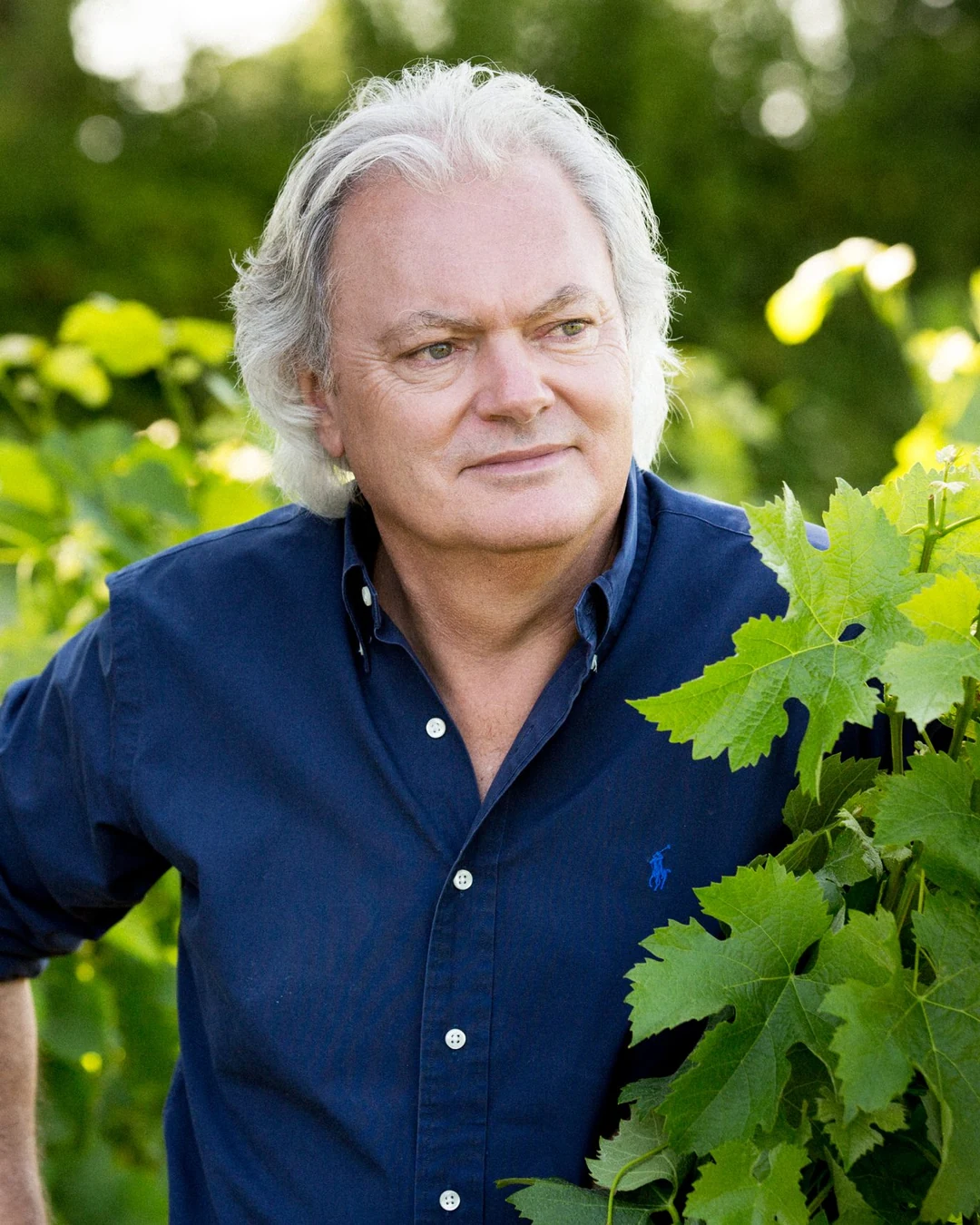 Portrait of Hubert de Boüard