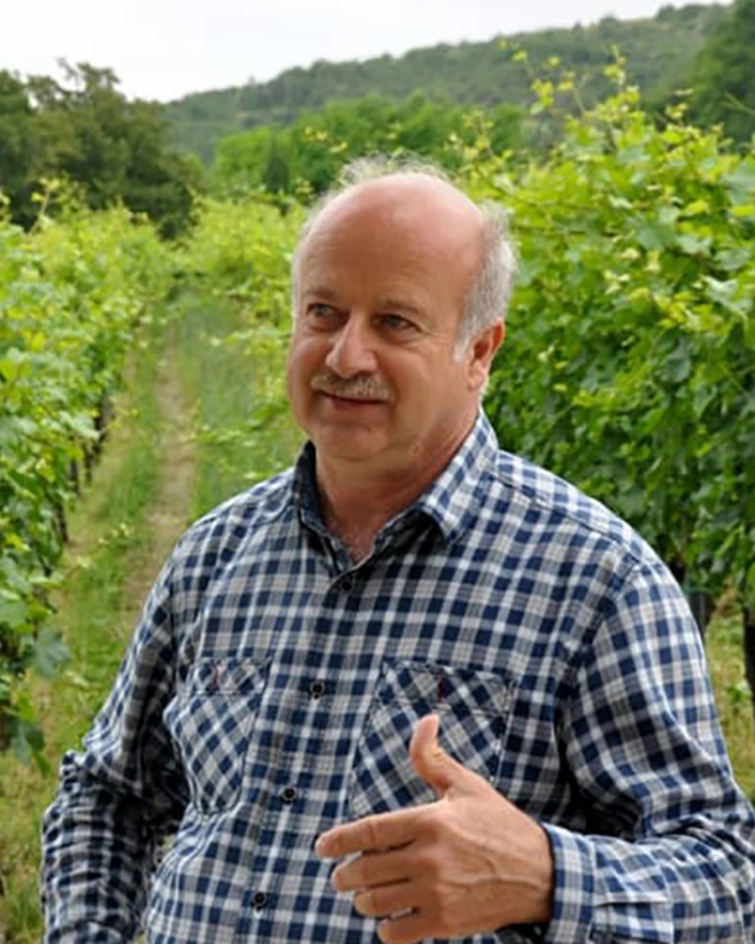 Portrait of Franco Zanovello