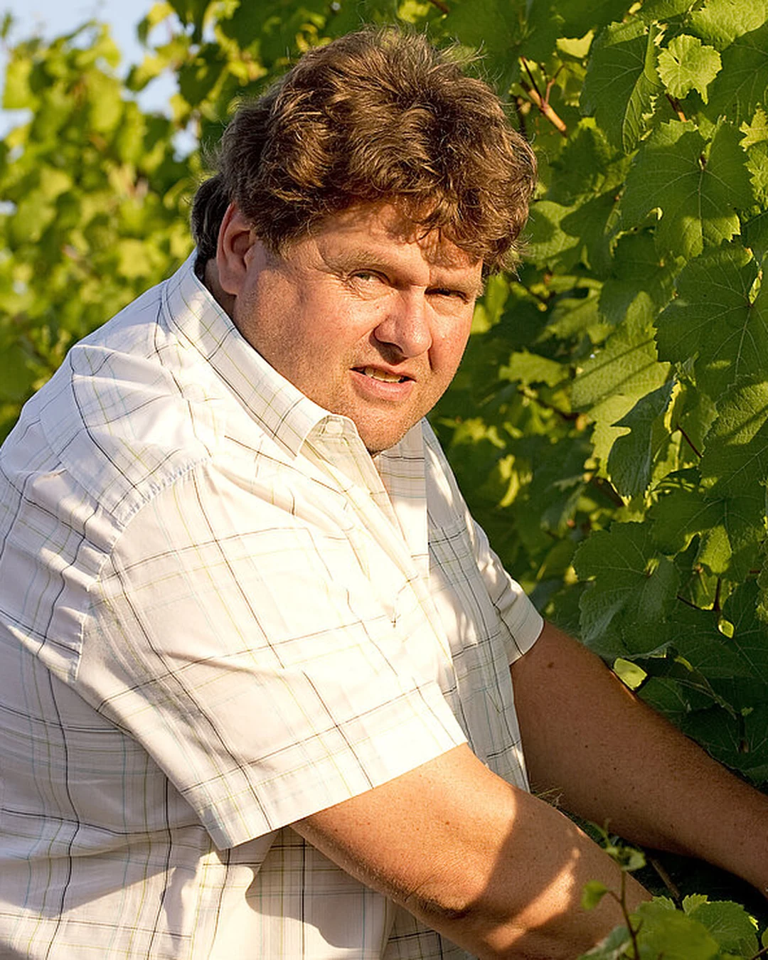 Portrait of Meinhard Forstreiter