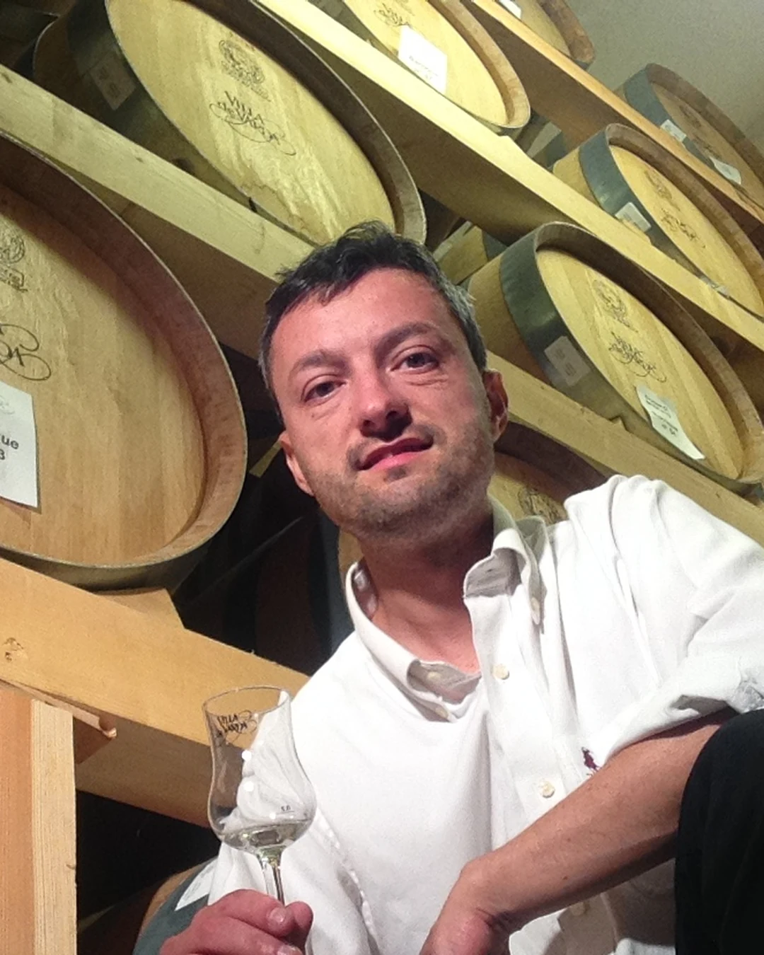 Portrait of Mauro Dolzan