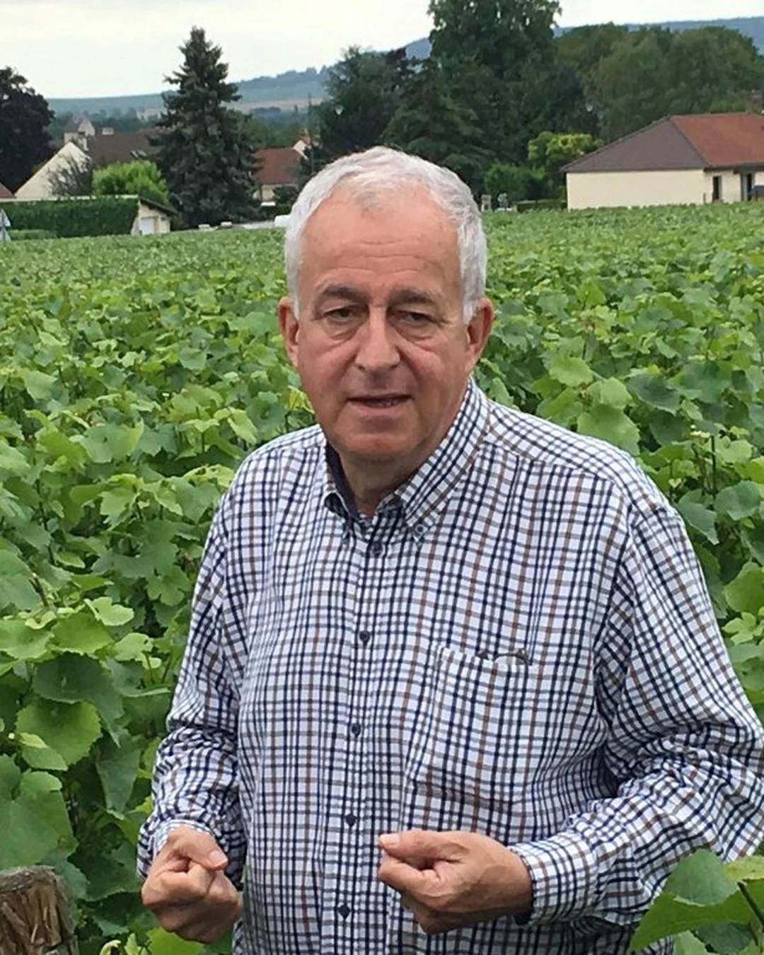 Portrait of Laurent Chiquet